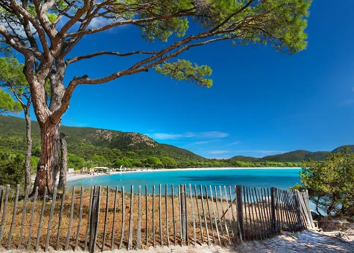 Les Lieges De Palombaggia *