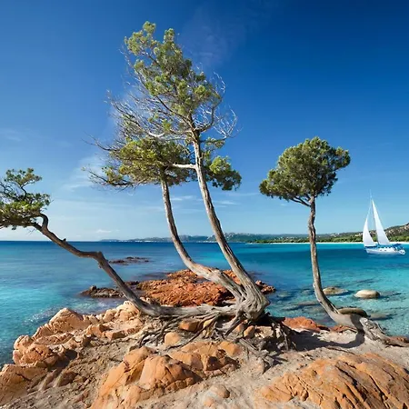 Tatil parkı Les Lieges De Palombaggia Porto-Vecchio (Corsica)