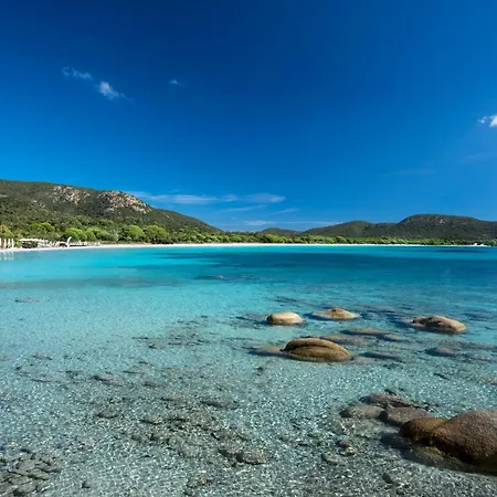 Les Lieges De Palombaggia