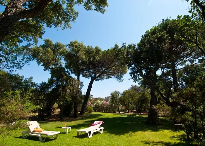 Les Lieges De Palombaggia